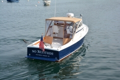 No-Alt-Ellis-28-For-Sale-7