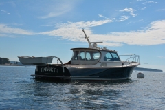 T40HinckleyCharterWebPhotos-2